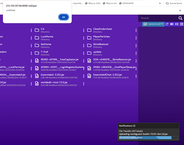 Capture d’écran 2024-08-05 170507