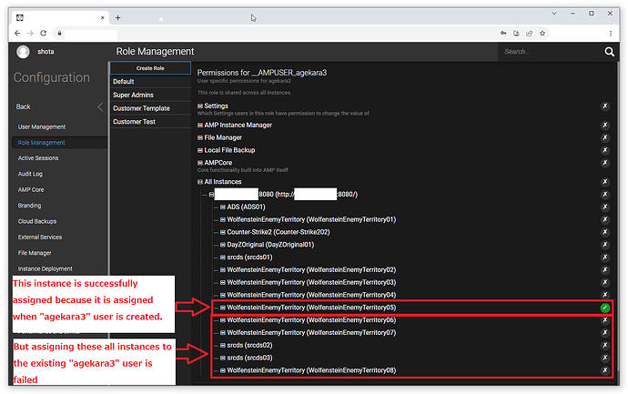 instance_permission