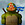 00100111 - Original Poster, Most Recent Poster