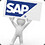 60yr_old_SAP_Idiot