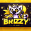 brizzy