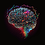 Crainium_9