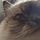 Eric_Arenz