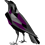 Headoperator23