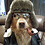 Johny_Pineault