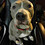 Kevin_Ormsbee