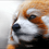 kulta_panda