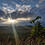Leon_Hilder