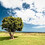 Miguel_Clouatre