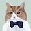 Peter_Andersen