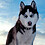 Quillan_W