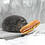 Seal_with_a_Sandwich