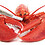 Spiny_Lobster_2