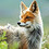 Srikanth_Jeyaparam