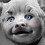 Stephane_Semal