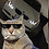 the_sick_cat_got_dri