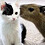 Tiny_TV